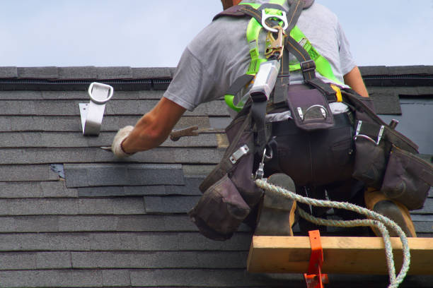 Roof Gutter Cleaning in Marlinton, WV