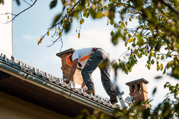 Best Roof Repair Services  in Marlinton, WV