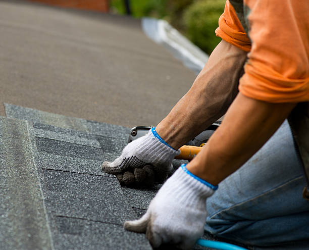 Best Roof Repair Services  in Marlinton, WV